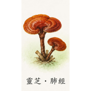 4d1b7f60-df42-49b2-a518-09ab197d81e4.jpg
