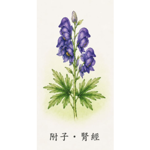 fd1987a8-3075-438e-a416-af7bfdb0ff9d.jpg