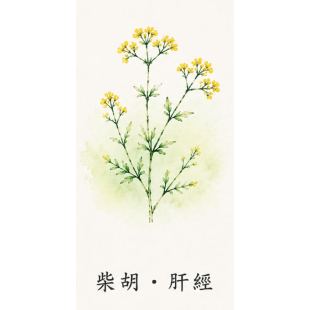 ec17fda6-8e6a-4343-9078-ff7791f62ee8.jpg