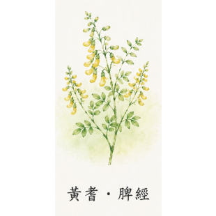 2c2c61a5-55ba-4106-9b85-973ec23c555b.jpg