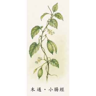 95c89d28-6c53-46e4-a2c0-ee1cc16228a3.jpg