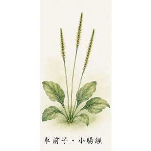 375ebb78-c11e-49f8-b0a7-cc16acb0d974.jpg
